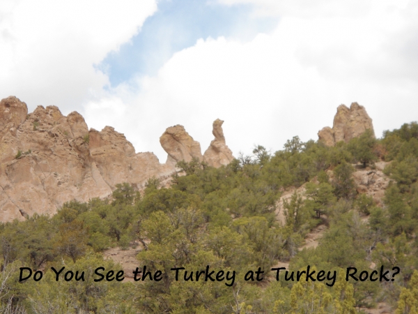 turkeyinturkeyrock